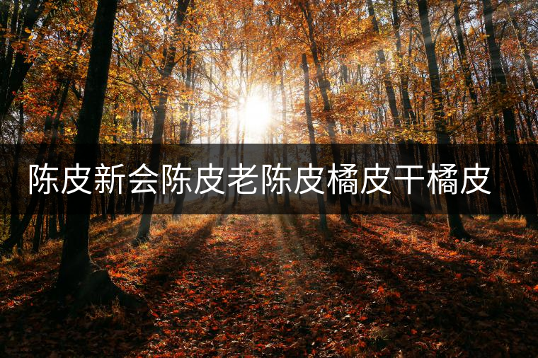 陳皮新會陳皮老陳皮橘皮干橘皮薏米茶非特級罐裝可配普洱白茶黃芪 陳皮新會陳皮老陳皮橘皮干橘皮薏米茶非特級罐裝可配普洱白茶黃芪