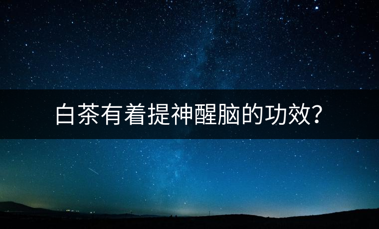 白茶有著提神醒腦的功效？