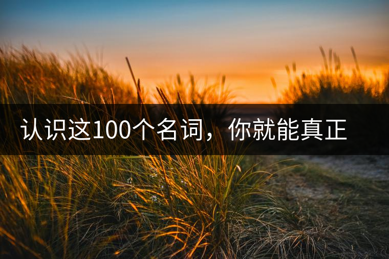 認(rèn)識(shí)這100個(gè)名詞，你就能真正了解普洱茶？