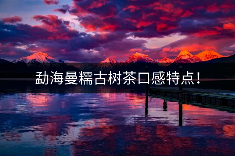 勐海曼糯古樹茶口感特點(diǎn)！