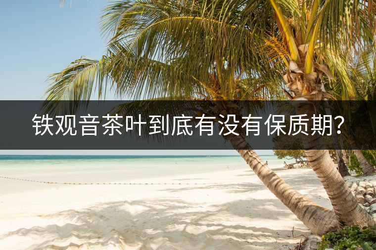 鐵觀音茶葉到底有沒有保質(zhì)期？