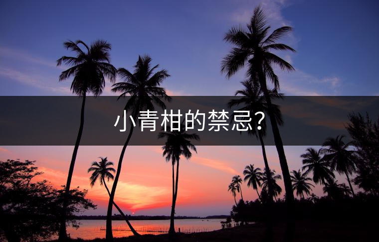 小青柑的禁忌？