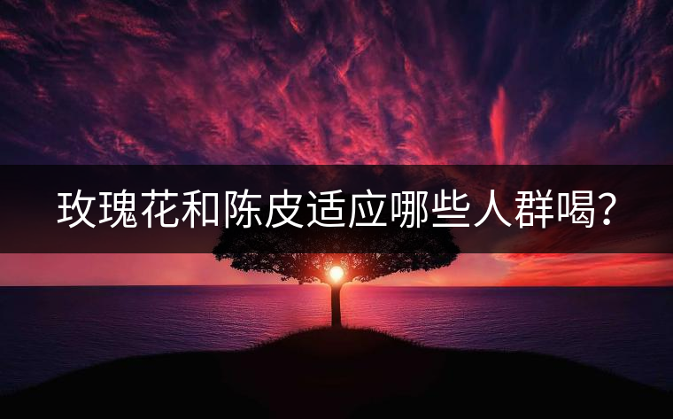 玫瑰花和陳皮適應(yīng)哪些人群喝？