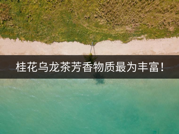 桂花烏龍茶芳香物質(zhì)最為豐富! 桂花烏龍茶芳香物質(zhì)最為豐富!