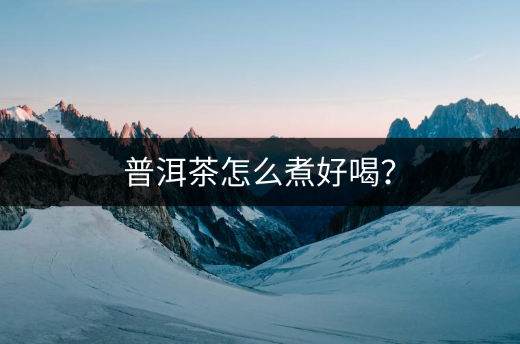 普洱茶怎么煮好喝？