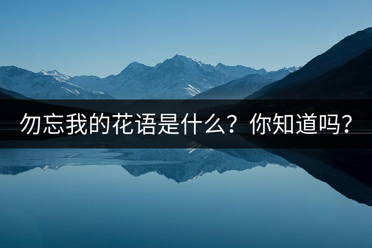 勿忘我的花語(yǔ)是什么？你知道嗎？