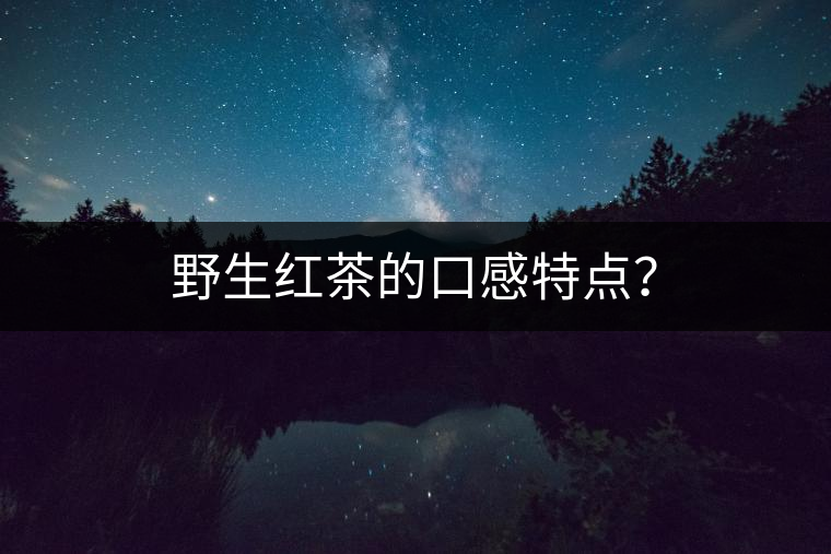 野生紅茶的口感特點？