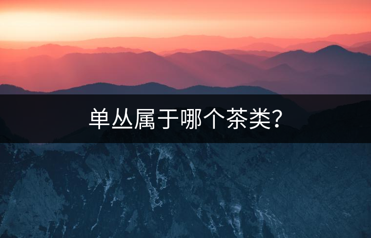 單叢屬于哪個(gè)茶類(lèi)？