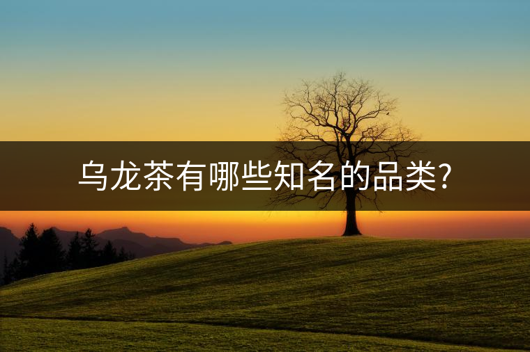 烏龍茶有哪些知名的品類?