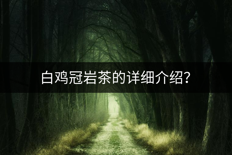 白雞冠巖茶的詳細介紹？