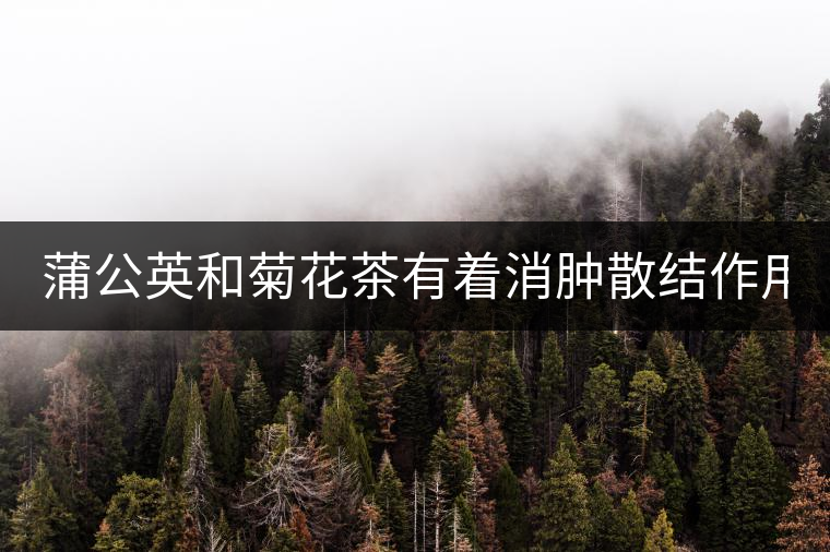 蒲公英和菊花茶有著消腫散結(jié)作用! 蒲公英和菊花茶有著消腫散結(jié)作用!