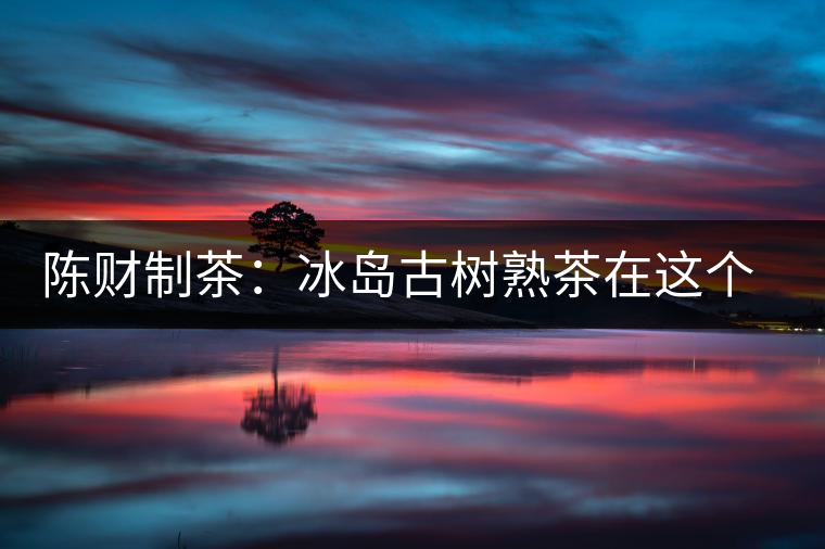 陳財制茶：冰島古樹熟茶在這個世界真的存在嗎？