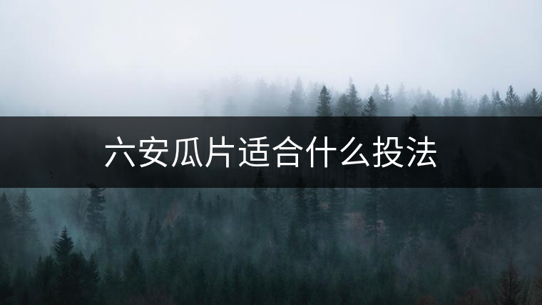 六安瓜片適合什么投法