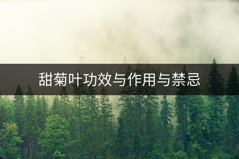 甜菊葉功效與作用與禁忌