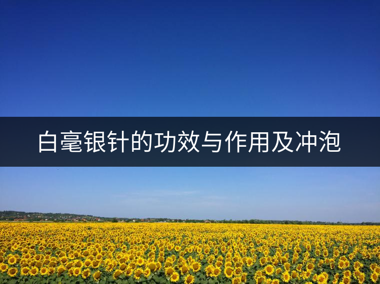 白毫銀針的功效與作用及沖泡 白毫銀針的功效與作用及沖泡