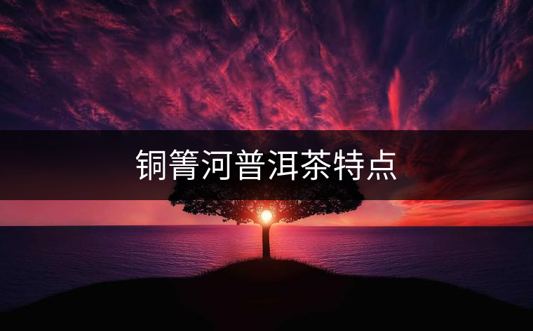 銅箐河普洱茶特點(diǎn) 銅箐河普洱茶特點(diǎn)
