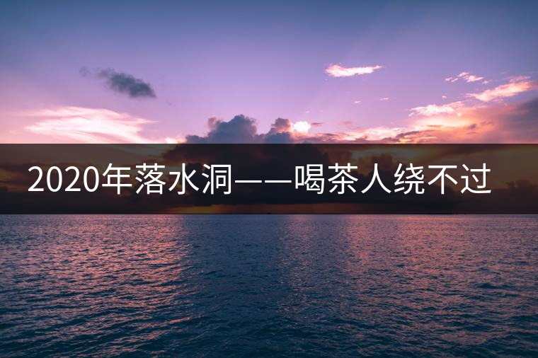 2020年落水洞——喝茶人繞不過的溫柔鄉(xiāng)！-易武中聘號
