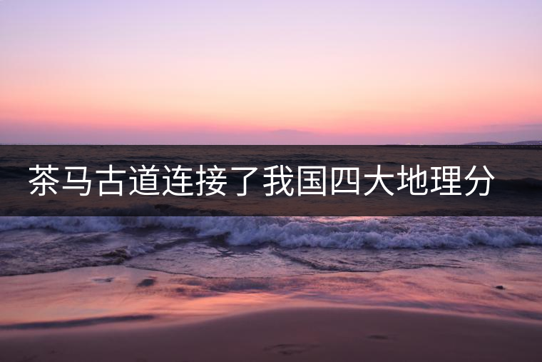 茶馬古道連接了我國四大地理分區(qū)中的什么地區(qū)和什么地區(qū)