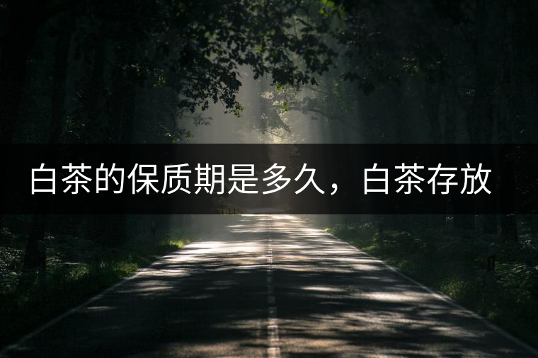 白茶的保質(zhì)期是多久，白茶存放多長(zhǎng)時(shí)間好喝