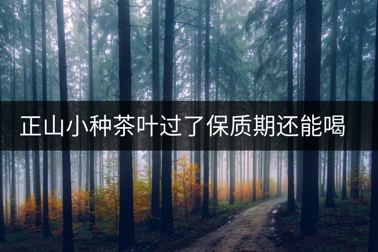 正山小種茶葉過(guò)了保質(zhì)期還能喝嗎 正山小種茶葉過(guò)了保質(zhì)期還能喝嗎