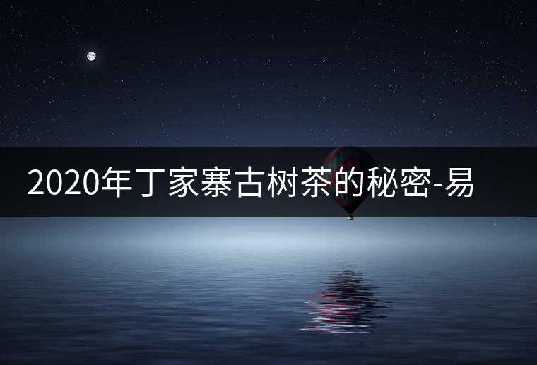 2020年丁家寨古樹茶的秘密-易武中聘號(hào) 2020年丁家寨古樹茶的秘密-易武中聘號(hào)