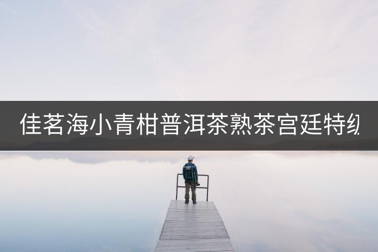 佳茗海小青柑普洱茶熟茶宮廷特級新會桔橘陳皮古樹普洱茶葉600g