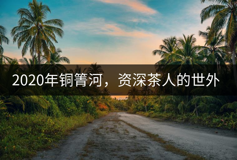 2020年銅箐河，資深茶人的世外桃源-易武-易武中聘號