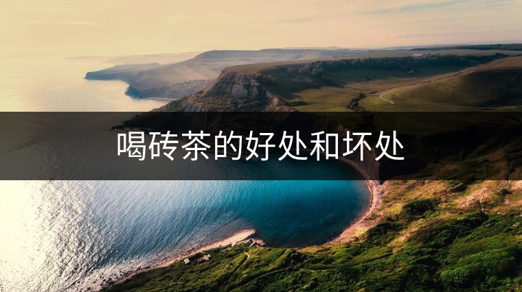 喝磚茶的好處和壞處 喝磚茶的好處和壞處