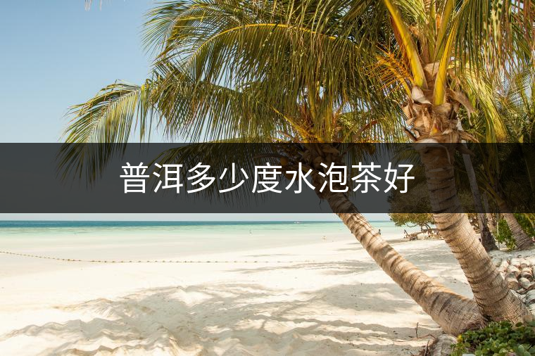 普洱多少度水泡茶好