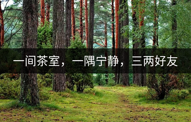 一間茶室，一隅寧靜，三兩好友