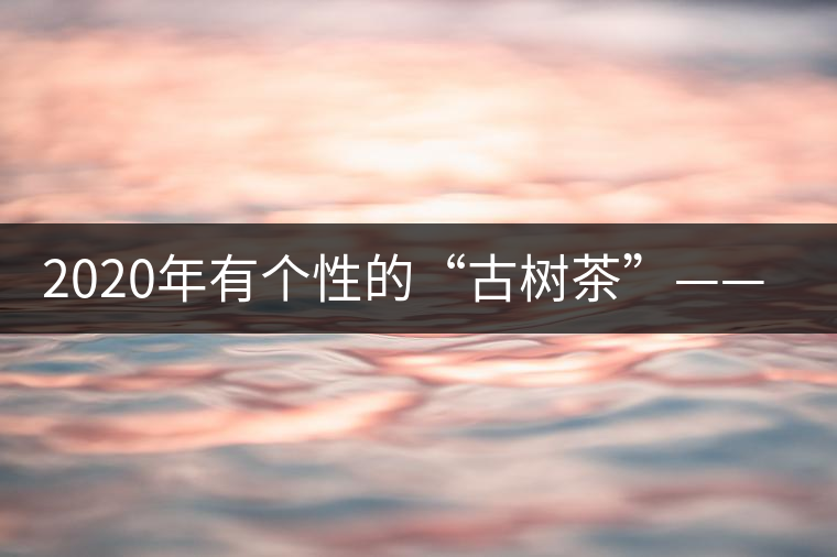 2020年有個(gè)性的“古樹茶”——一扇磨-易武中聘號(hào) 2020年有個(gè)性的“古樹茶”——一扇磨-易武中聘號(hào)