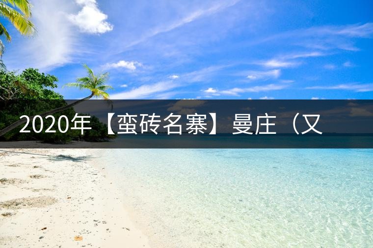 2020年【蠻磚名寨】曼莊（又作：蠻磚、曼磚）-易武中聘號