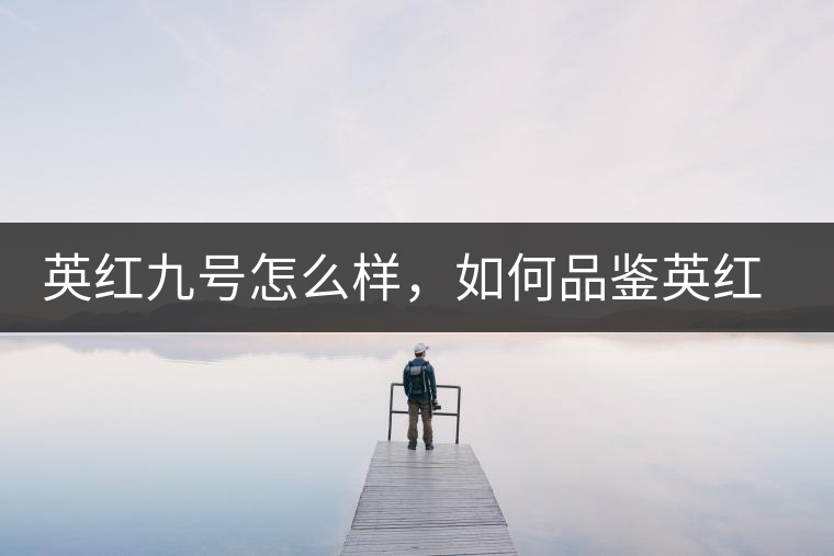 英紅九號(hào)怎么樣，如何品鑒英紅九號(hào)紅茶