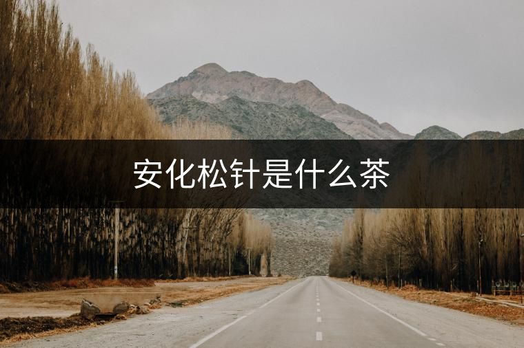 安化松針是什么茶 安化松針是什么茶
