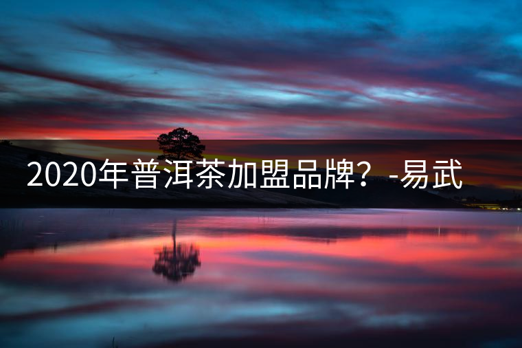 2020年普洱茶加盟品牌？-易武中聘號(hào)