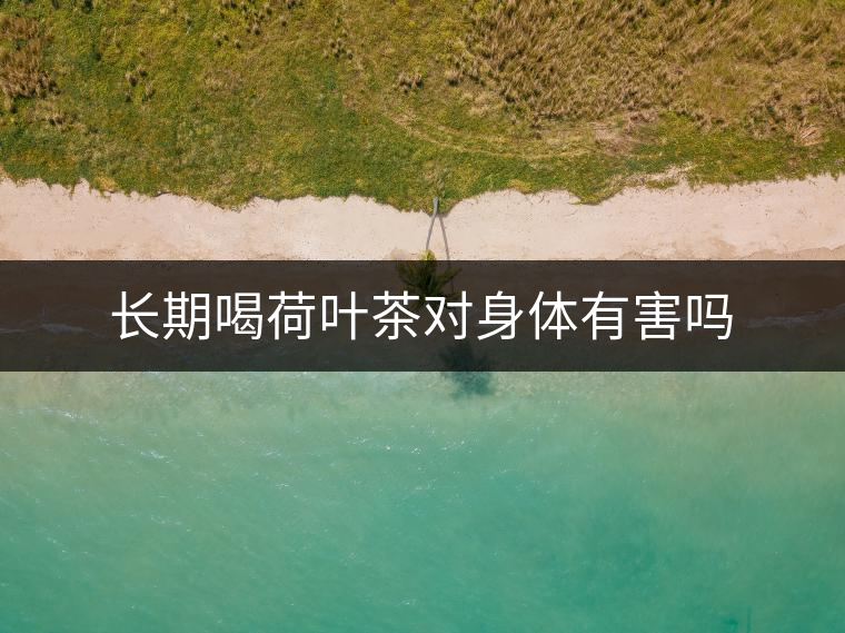 長期喝荷葉茶對(duì)身體有害嗎 長期喝荷葉茶對(duì)身體有害嗎