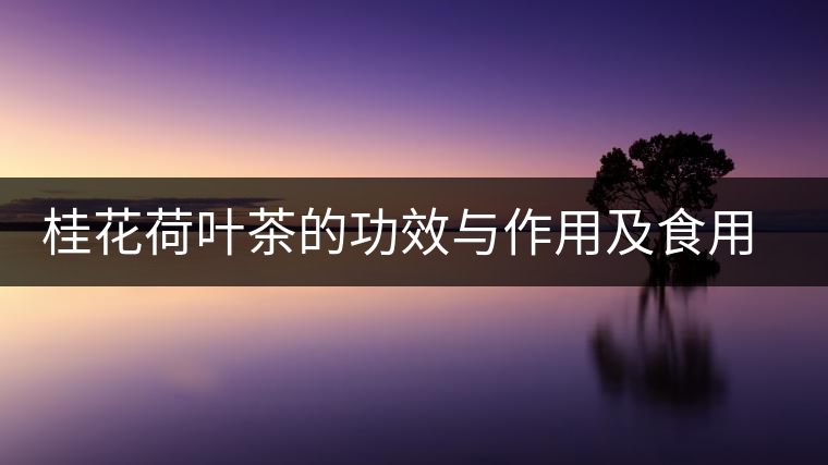 桂花荷葉茶的功效與作用及食用方法 桂花荷葉茶的功效與作用及食用方法