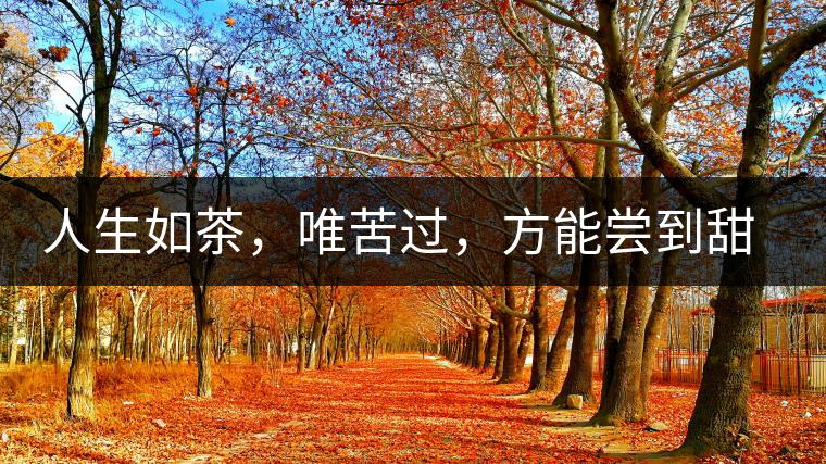 人生如茶，唯苦過(guò)，方能?chē)L到甜滋味