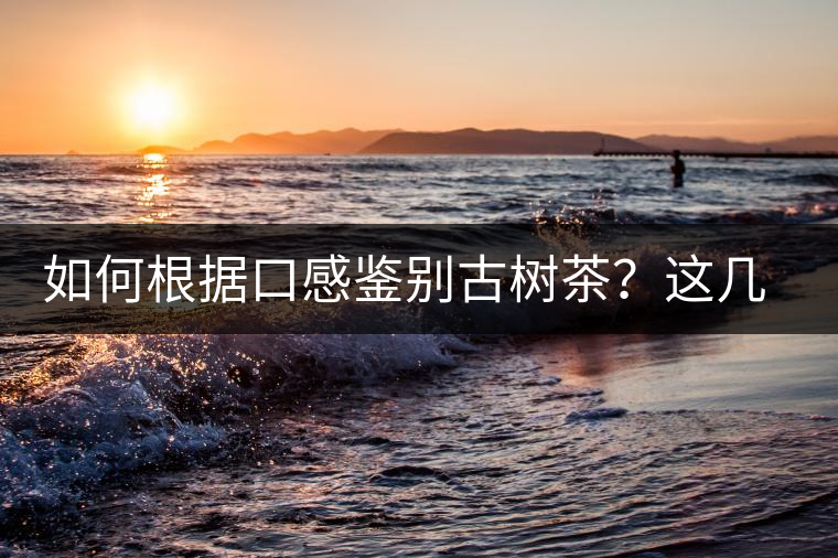 如何根據(jù)口感鑒別古樹茶？這幾個(gè)技巧值得收藏