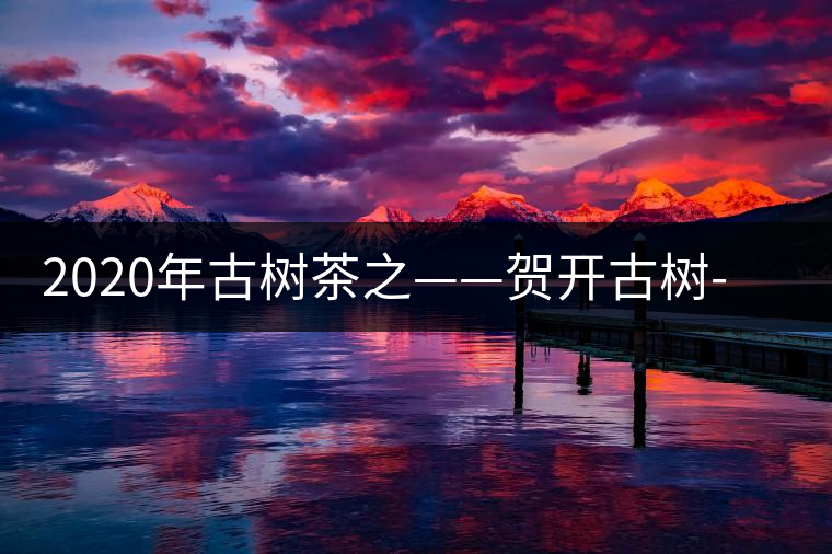 2020年古樹(shù)茶之——賀開(kāi)古樹(shù)-易武中聘號(hào) 2020年古樹(shù)茶之——賀開(kāi)古樹(shù)-易武中聘號(hào)