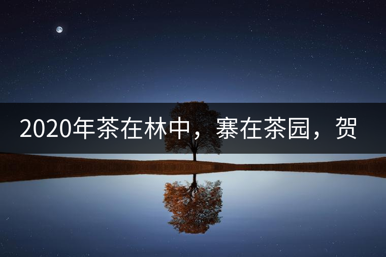 2020年茶在林中，寨在茶園，賀開古樹茶-易武中聘號(hào)