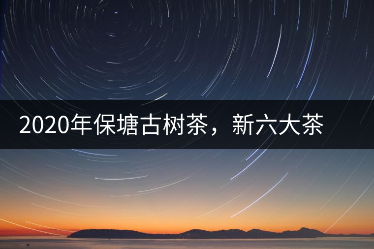 2020年保塘古樹茶，新六大茶山之勐宋茶佼佼者-易武中聘號