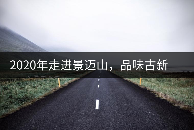 2020年走進景邁山，品味古新六大茶山古樹茶之韻-易武中聘號