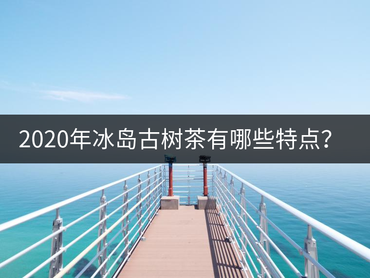 2020年冰島古樹茶有哪些特點(diǎn)？-易武中聘號(hào)