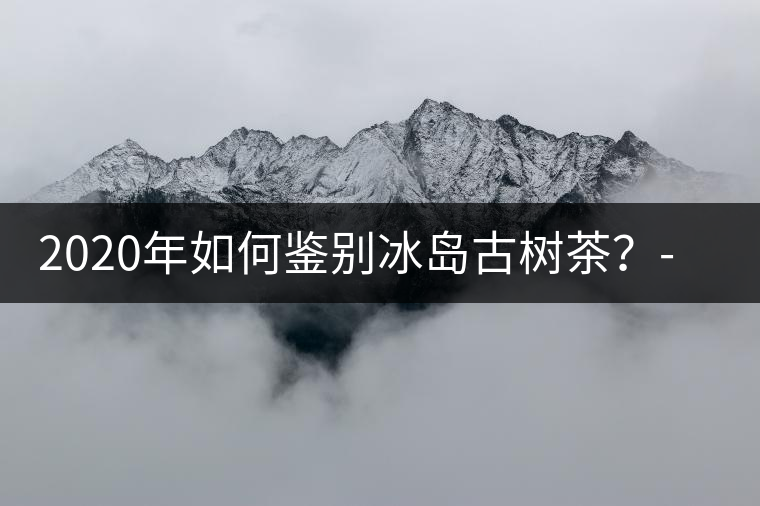 2020年如何鑒別冰島古樹(shù)茶？-易武中聘號(hào)