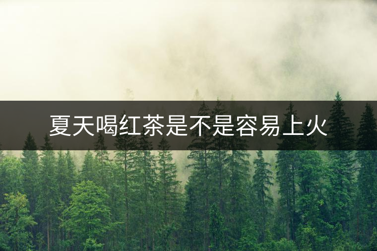 夏天喝紅茶是不是容易上火 夏天喝紅茶是不是容易上火