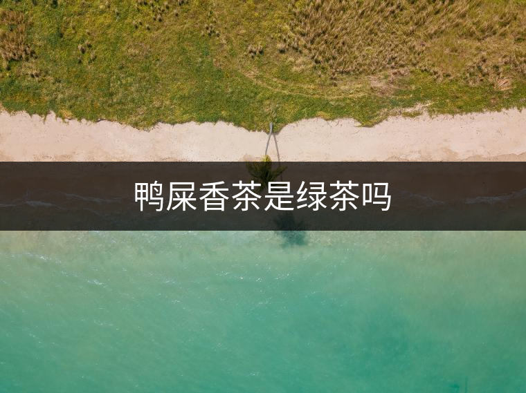 鴨屎香茶是綠茶嗎 鴨屎香茶是綠茶嗎
