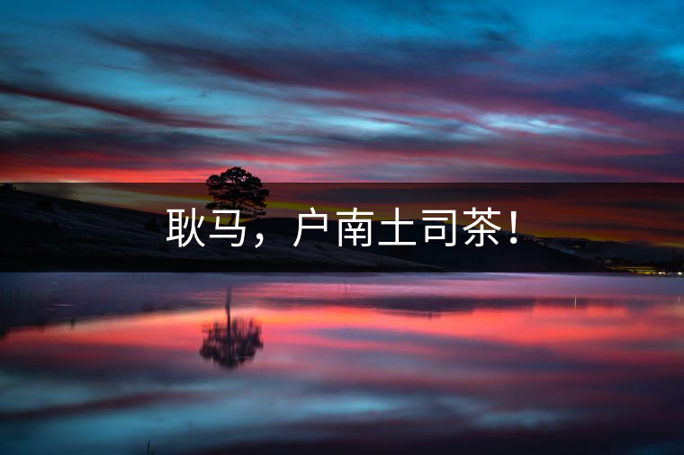 耿馬，戶(hù)南土司茶！