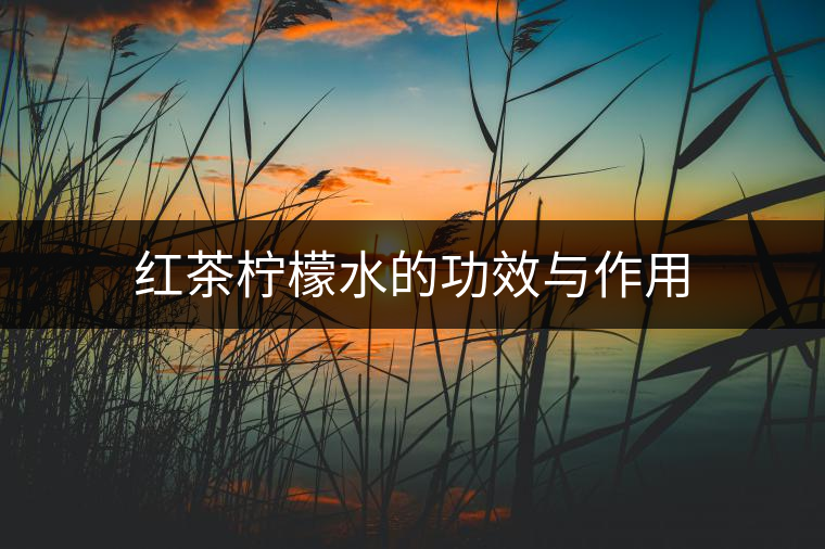 紅茶檸檬水的功效與作用 紅茶檸檬水的功效與作用