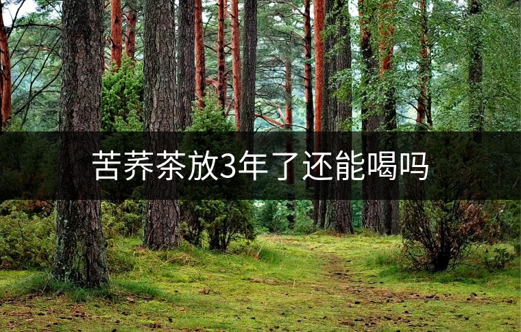 苦蕎茶放3年了還能喝嗎 苦蕎茶放3年了還能喝嗎